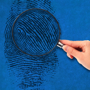 Managing SARS Investigations