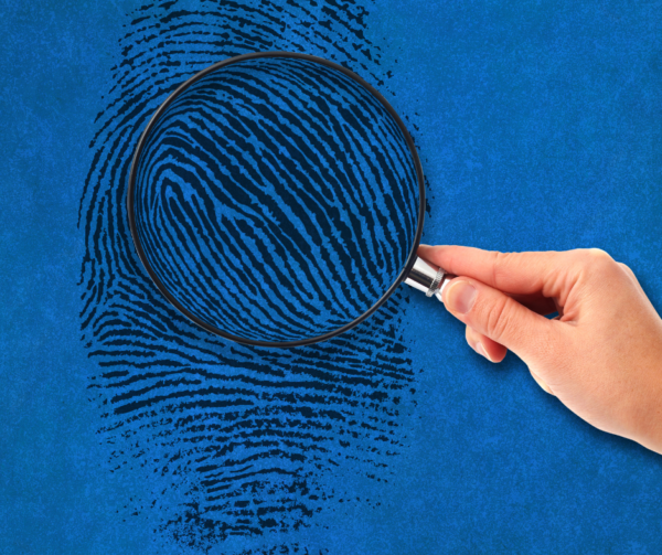 Managing SARS Investigations